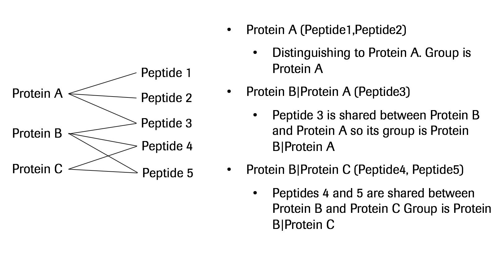 img/peptide_centric.jpeg